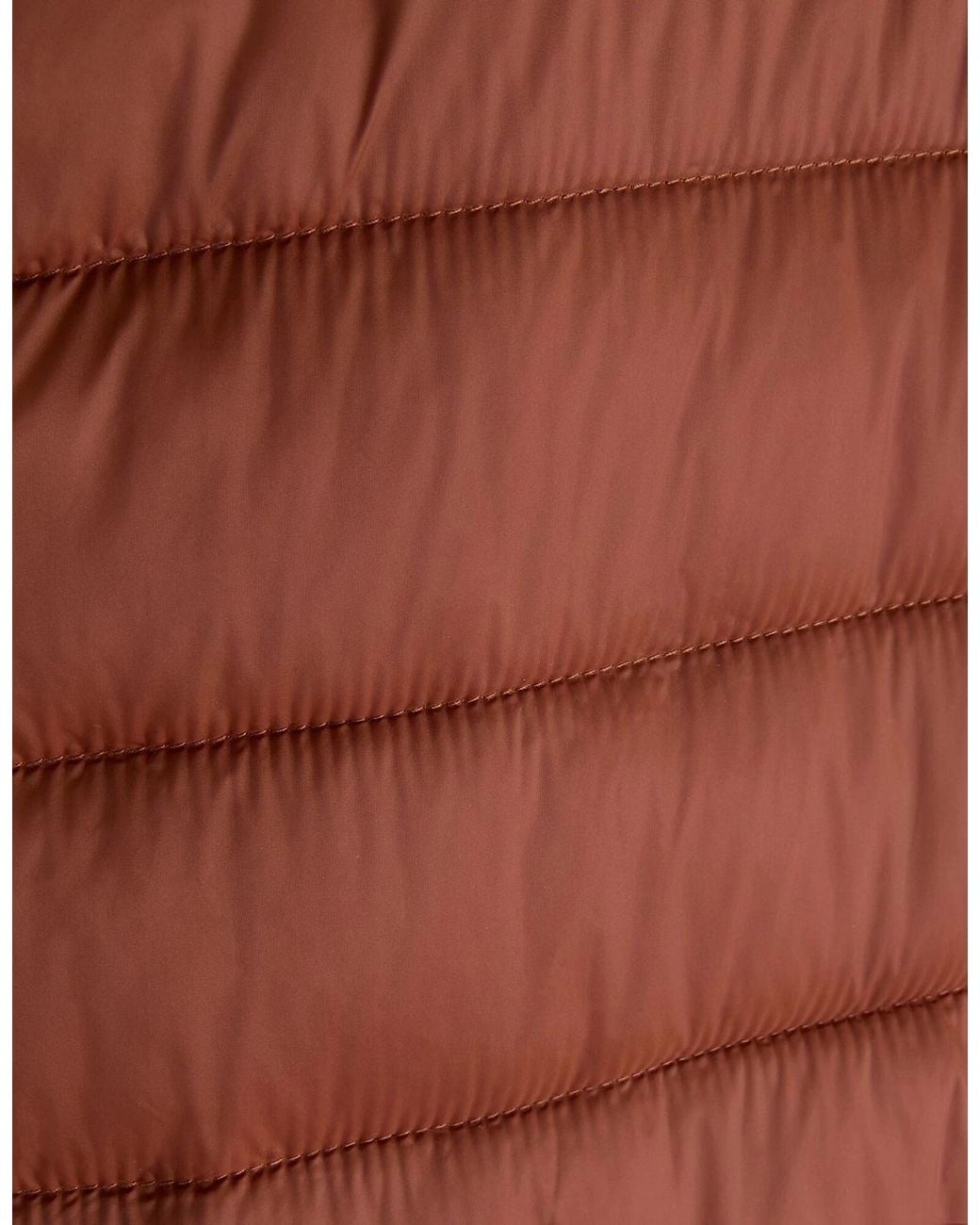 Regatta Brown Marizion Padded Jacket for men