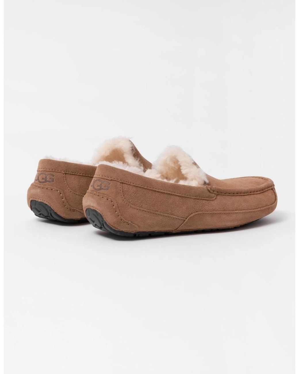 Ugg Brown Ascot Slipper for men