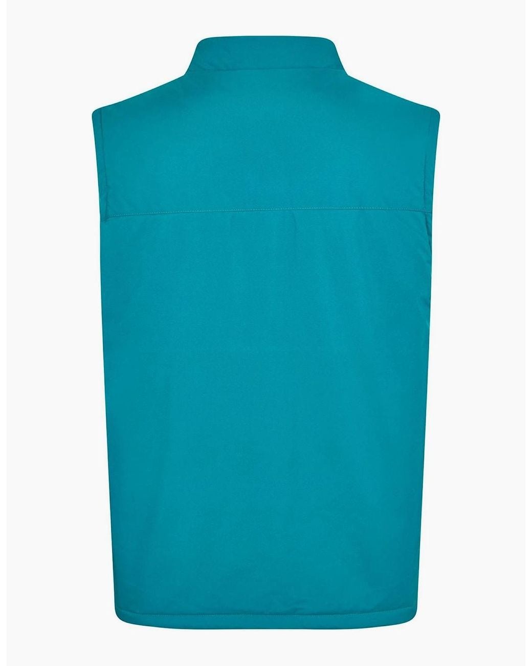 Castore Blue Wlvstrvlgilt for men