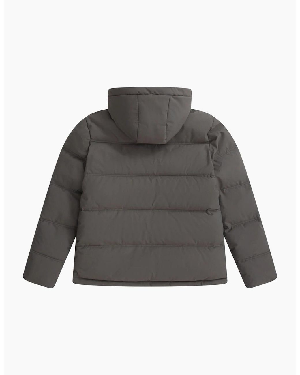 Mountain Warehouse Gray Fistral Padded Jacket for men