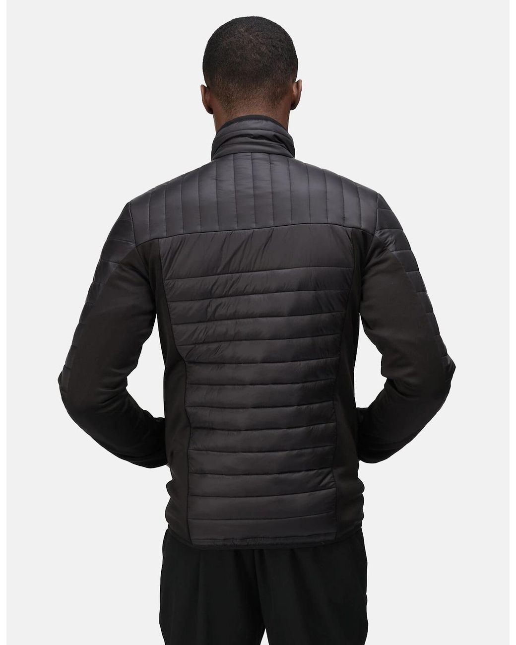 Regatta Blue Professional Hybrid Jacket for men