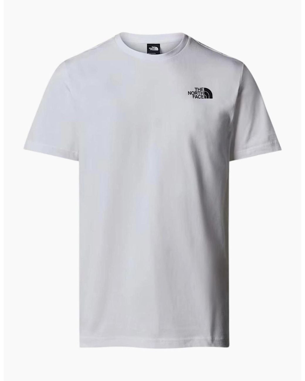 The North Face Gray T Shirts Box Nse Celebration Crew Neck Graphic Print Summer Tee for men