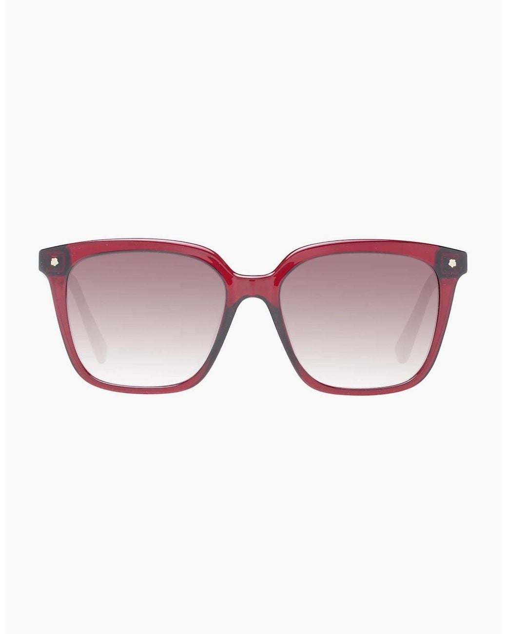 Ted Baker Brown Sunglasses Tb1676 249 53