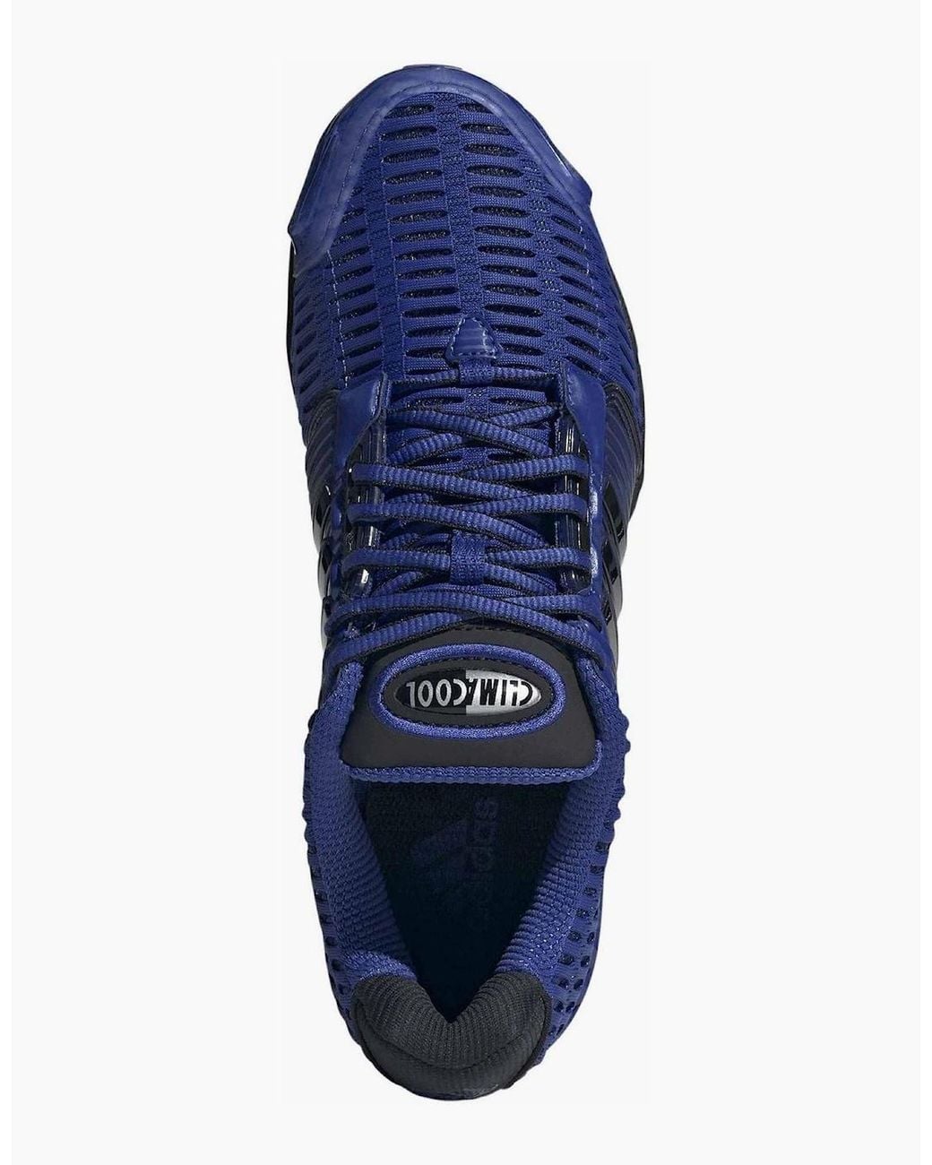 Adidas Blue Climacool 1 for men