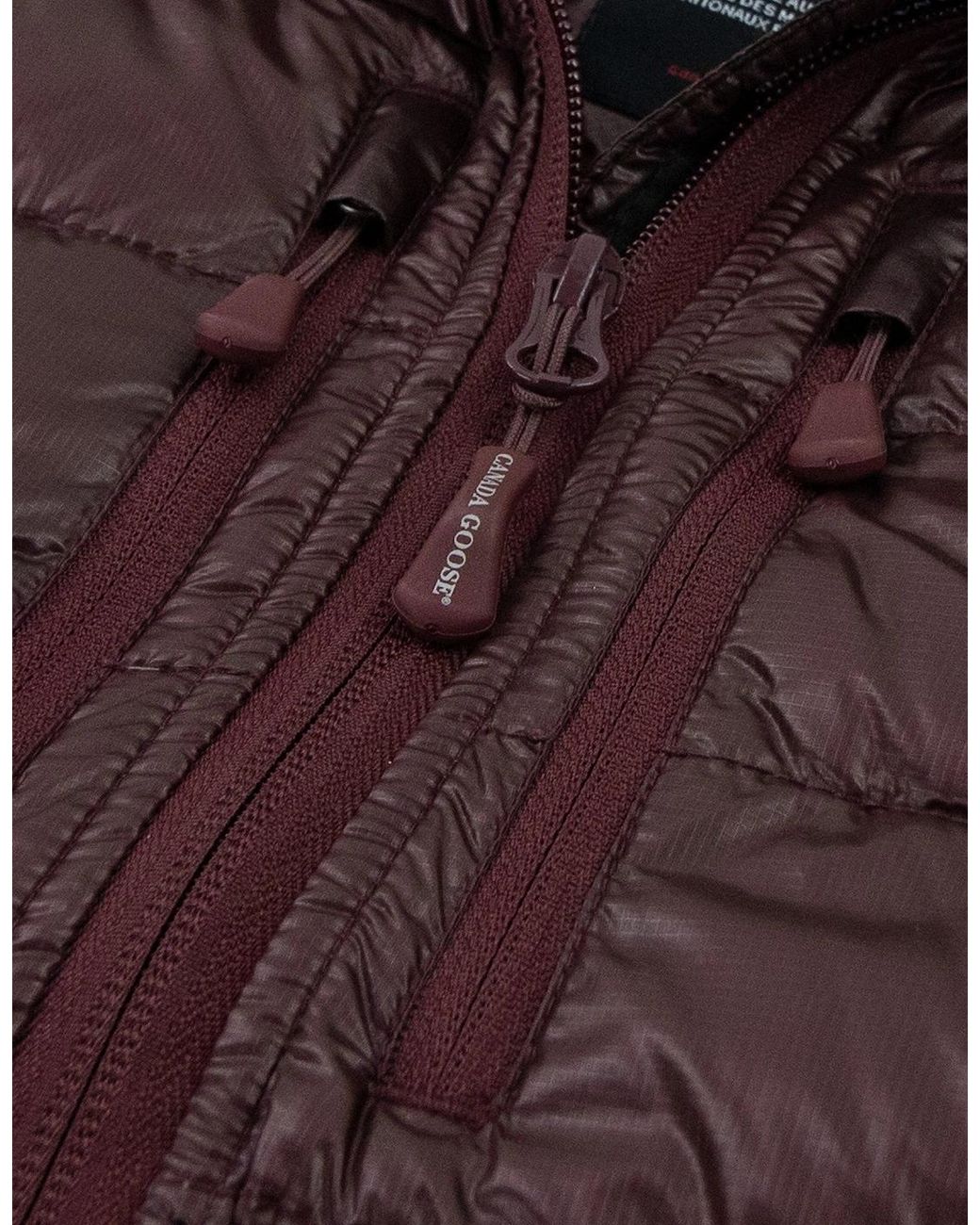 Canada Goose Purple Ladies Hybridge Lite Down Hoody Elderberry 810