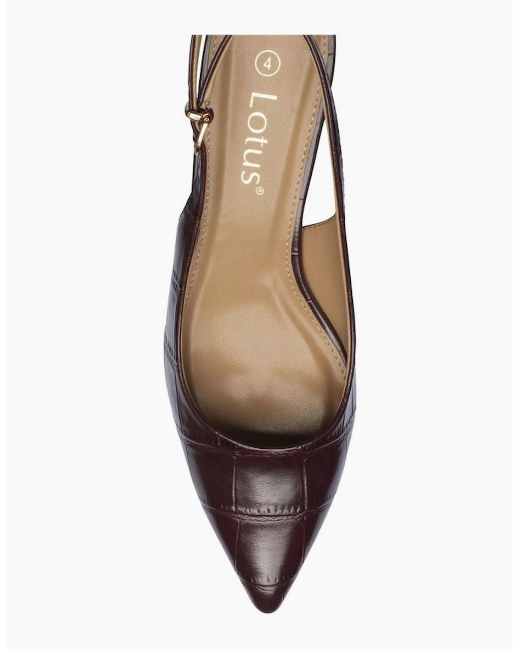 Lotus Brown Arwen Court Shoes