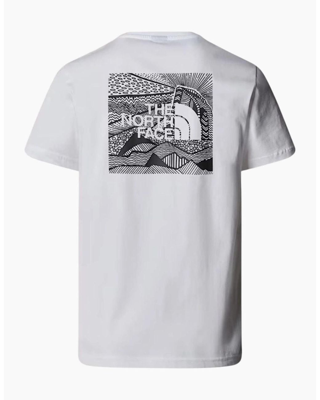 The North Face Gray T Shirts Box Nse Celebration Crew Neck Graphic Print Summer Tee for men