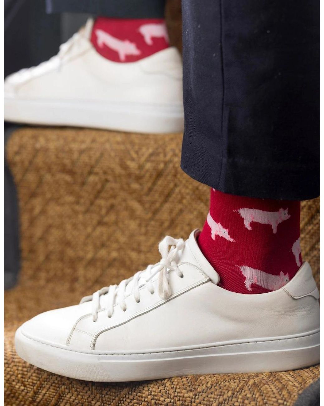 Swole Panda Red Pigs Bamboo Socks