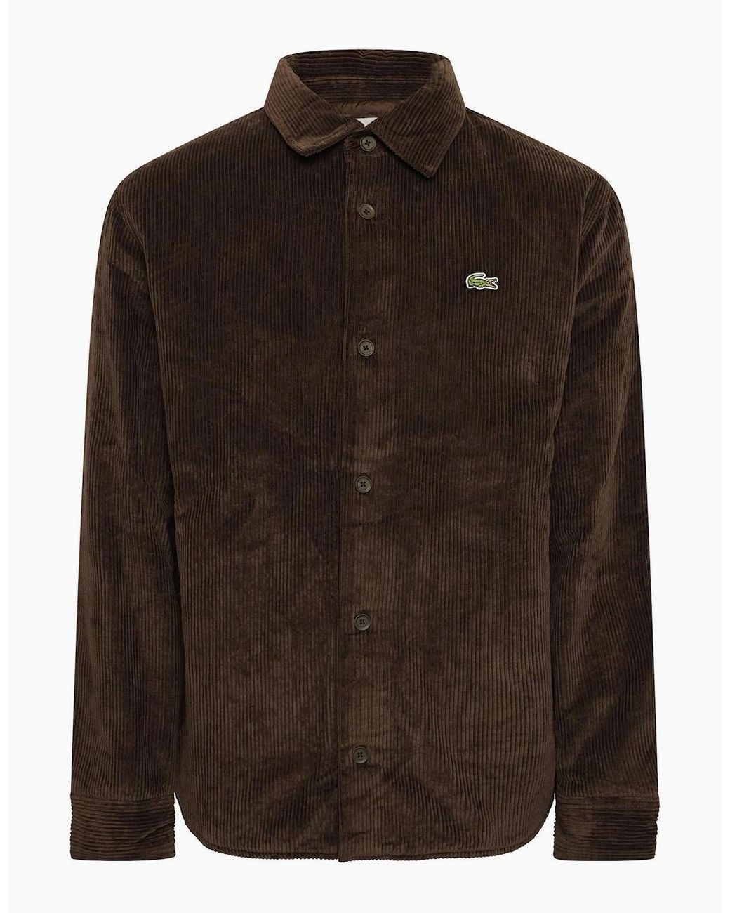 Lacoste Brown Long Sleeve Oxford Shirt for men