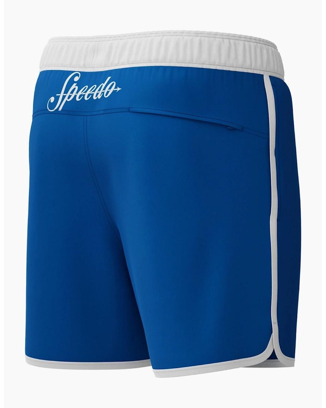 Speedo Blue Volley Logo Swim Shorts for men