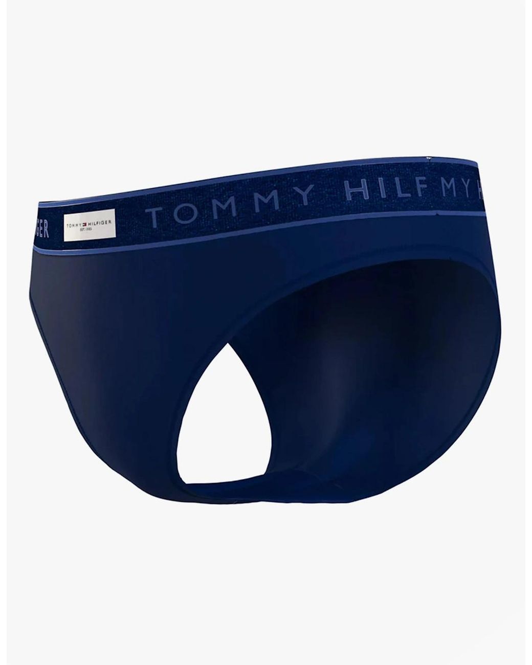 Tommy Hilfiger Blue Bikini Desert Sky