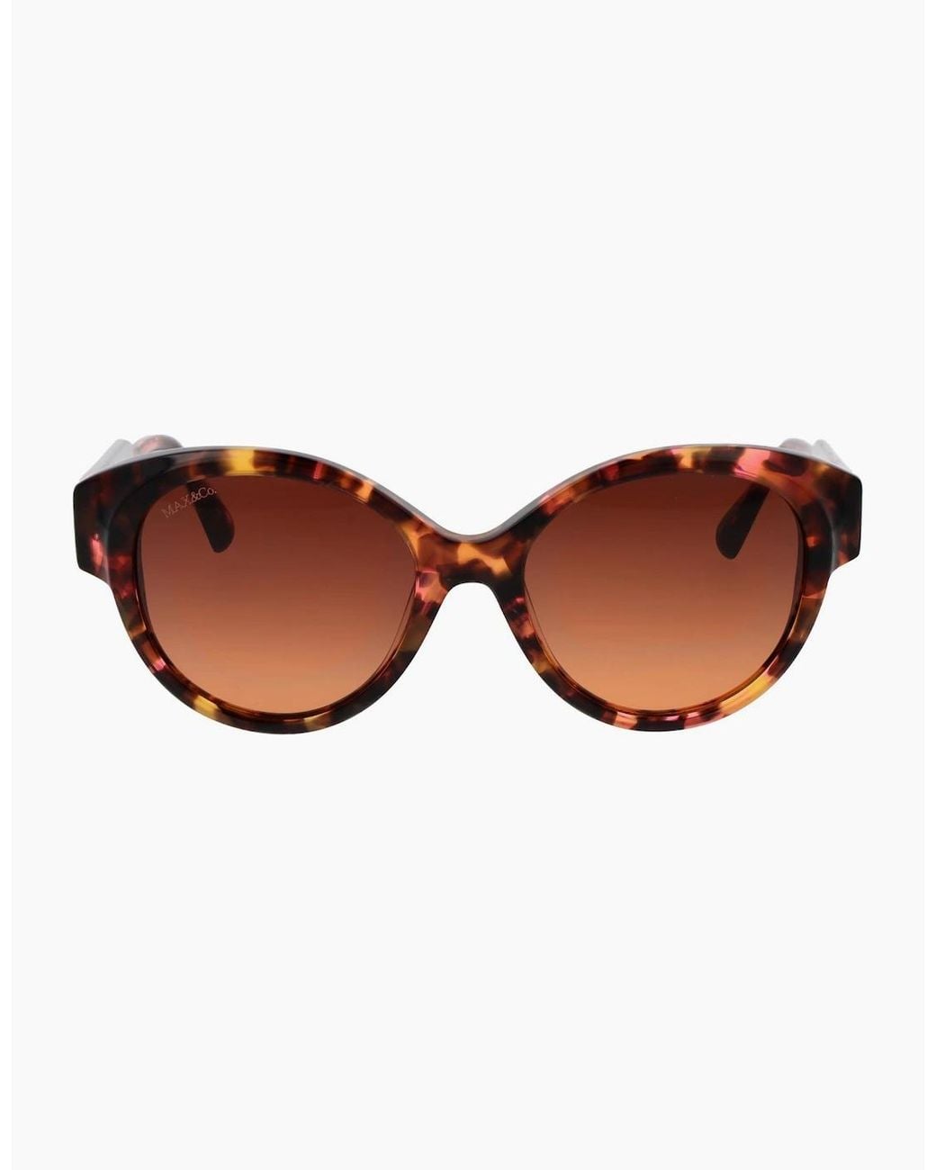 MAX&Co. Brown Sunglasses Mo0076 55F 55