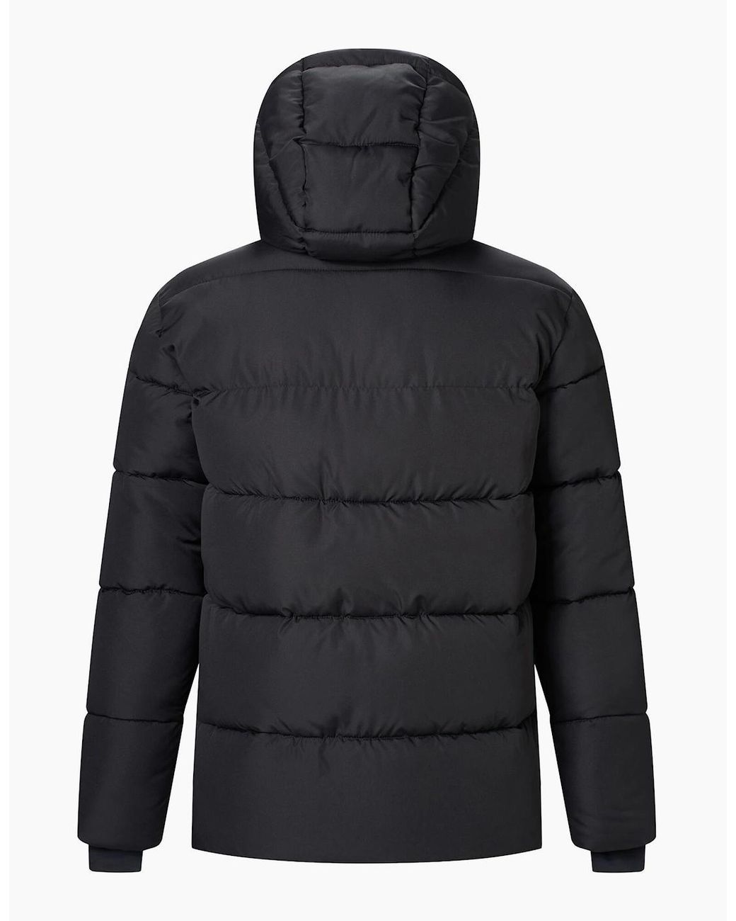 Regatta Gray Marek Short Padded Jacket for men