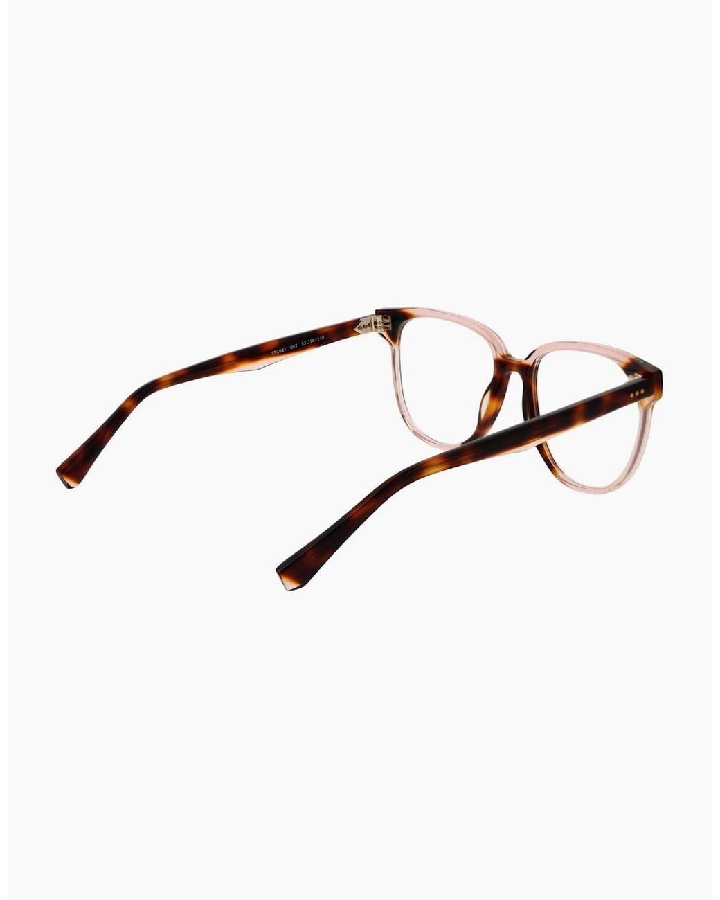 Sandro Brown Optical Frame Sd2027 007 53