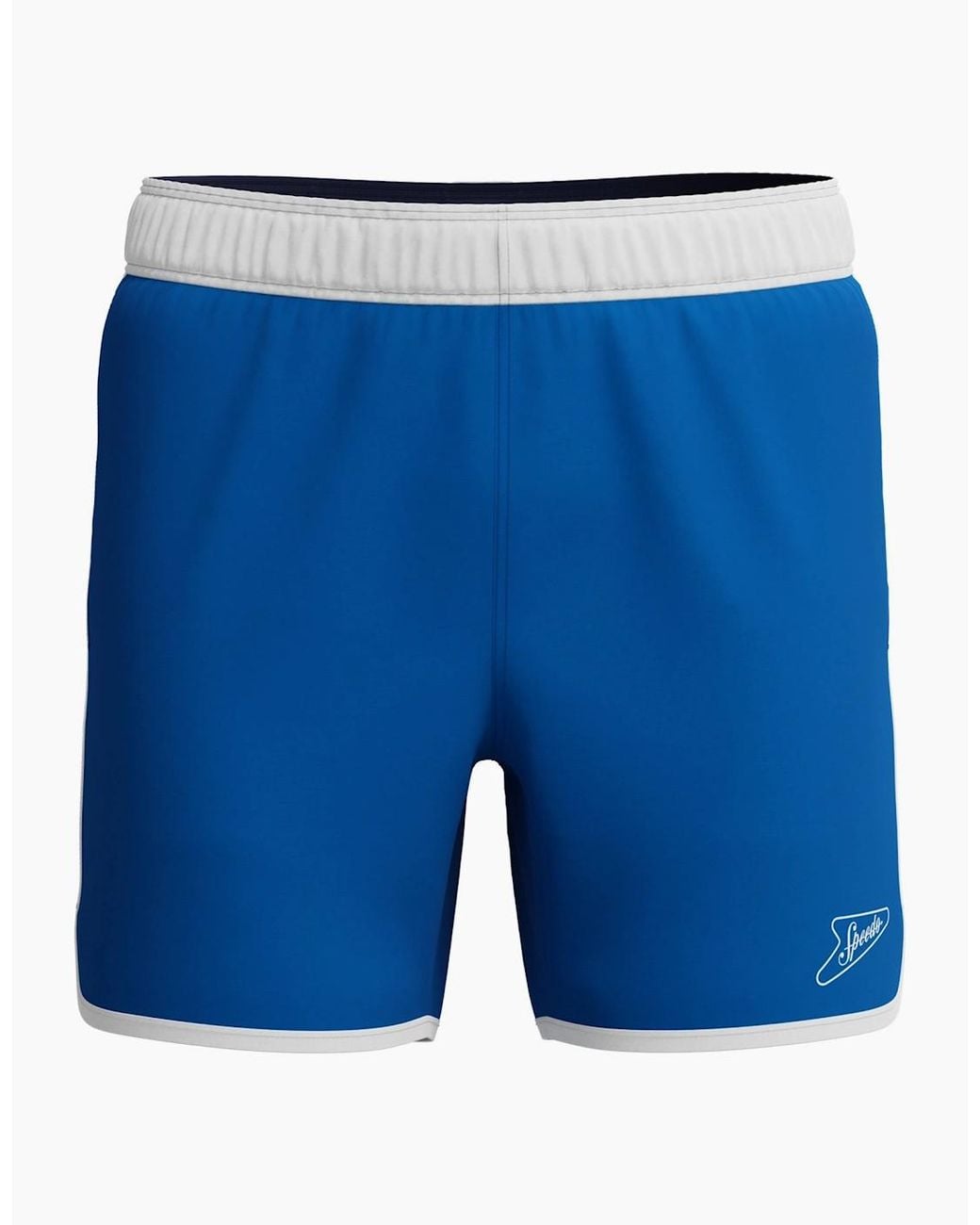 Speedo Blue Volley Logo Swim Shorts for men