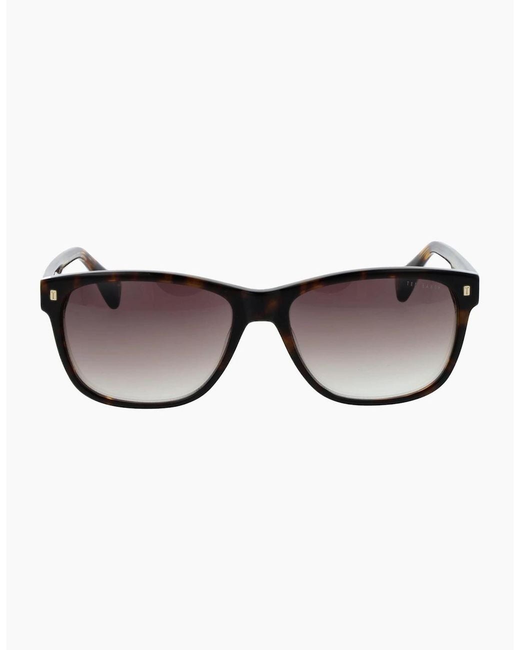 Ted Baker Brown Sunglasses Tb1753 119 58 for men
