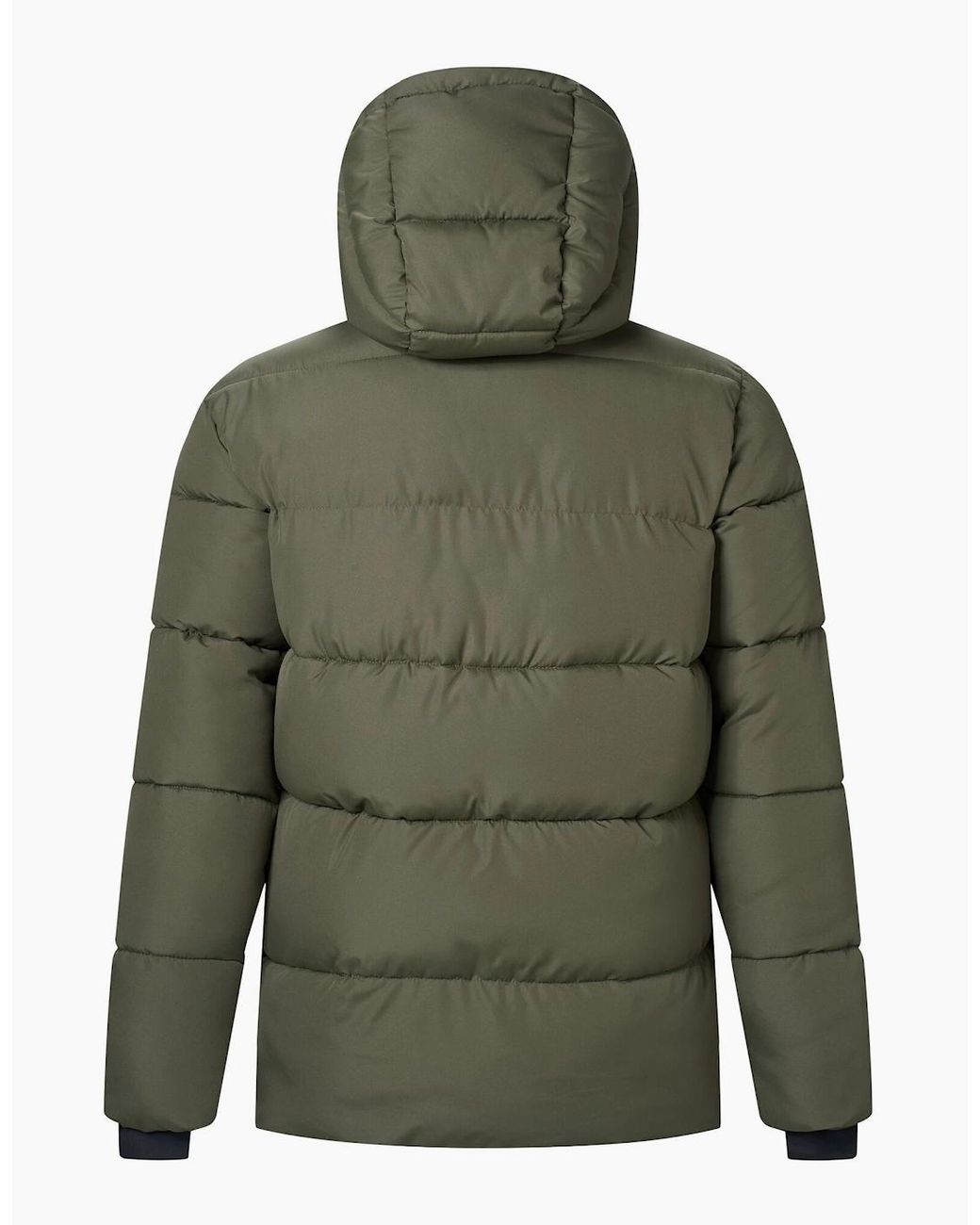 Regatta Black Marek Short Padded Jacket for men