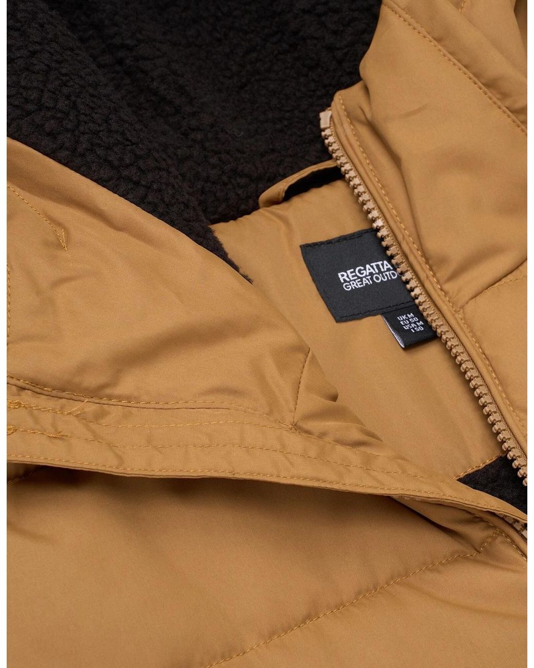 Regatta Brown Frankie Padded Jacket for men