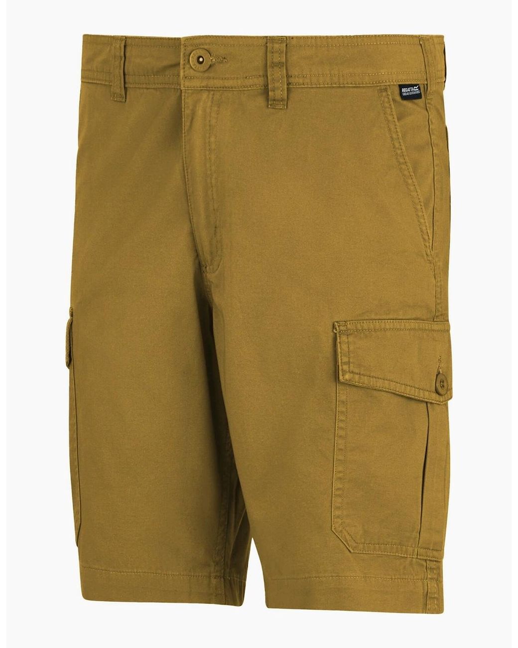 Regatta Green Ruwan Casual Shorts for men