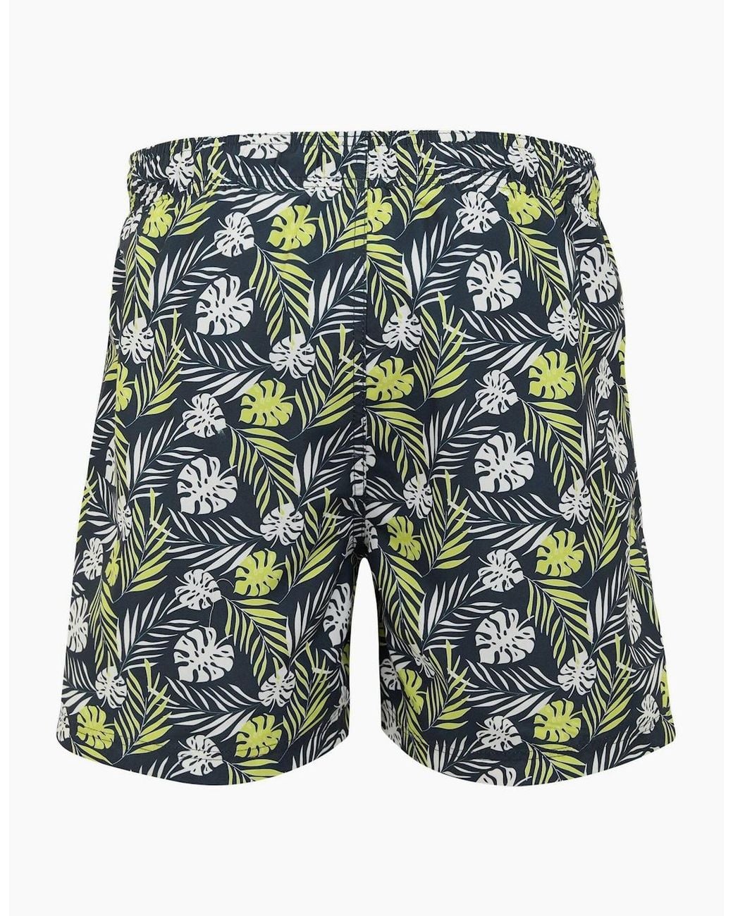 Regatta Green Loras Leaf Swim Shorts for men