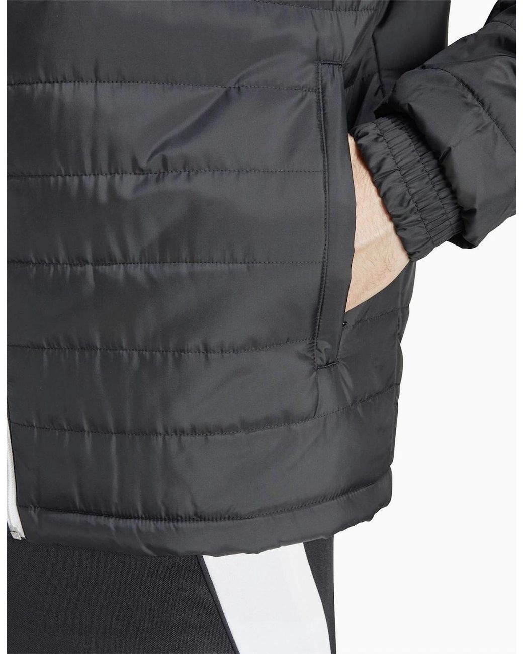 Adidas Black Entrada Light Jacket for men