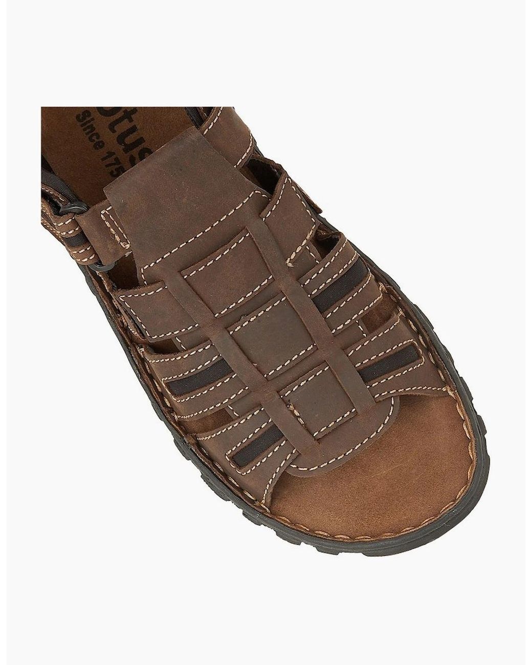 Lotus Brown Dylan Sandals for men