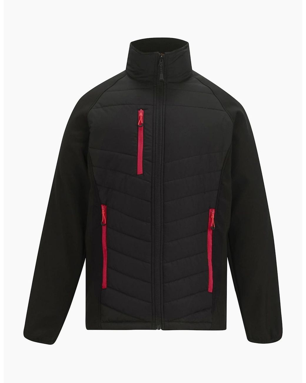 Regatta Black Full Zip Padded Jacket for men