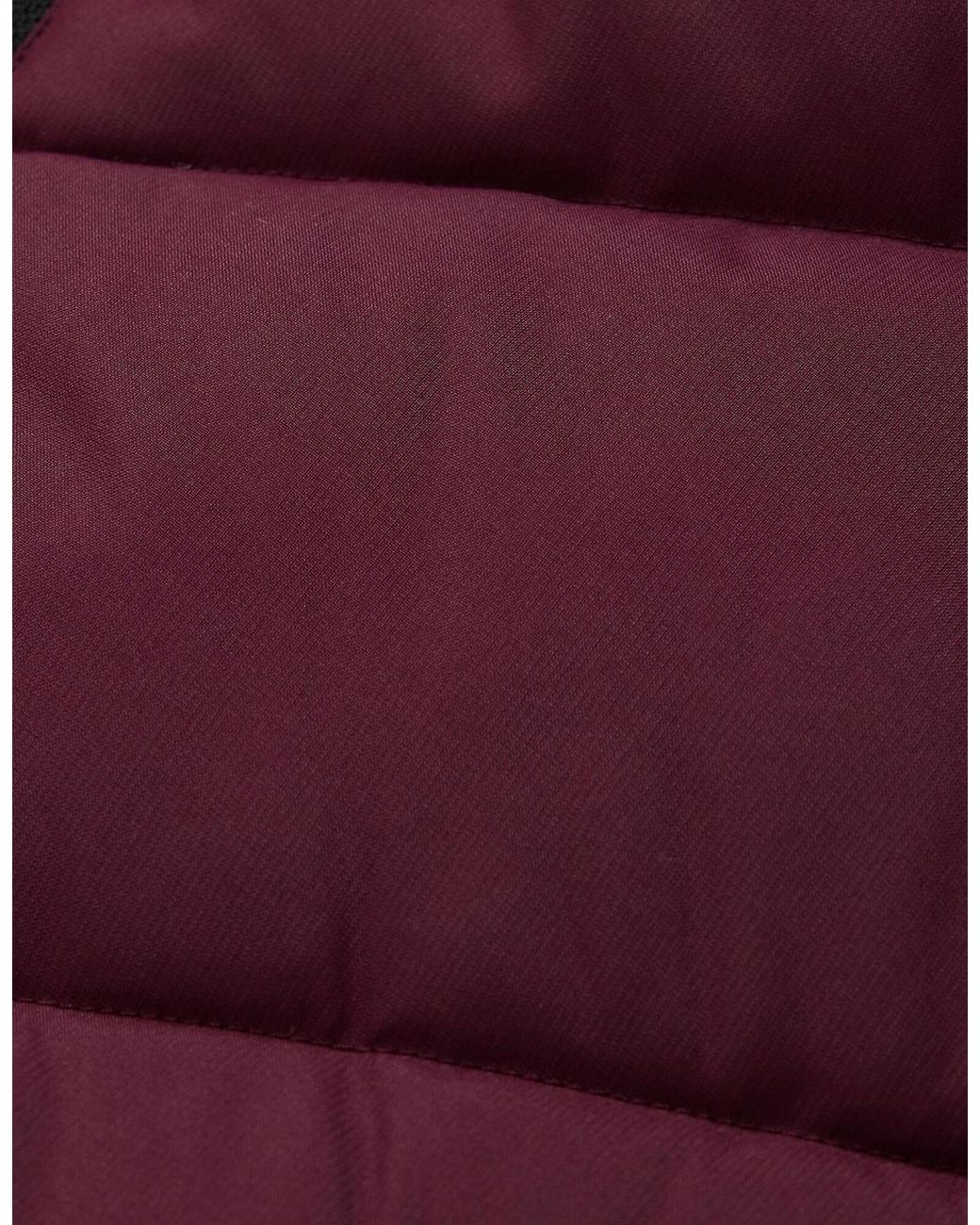 Regatta Purple Ladies Merida Body Warmer