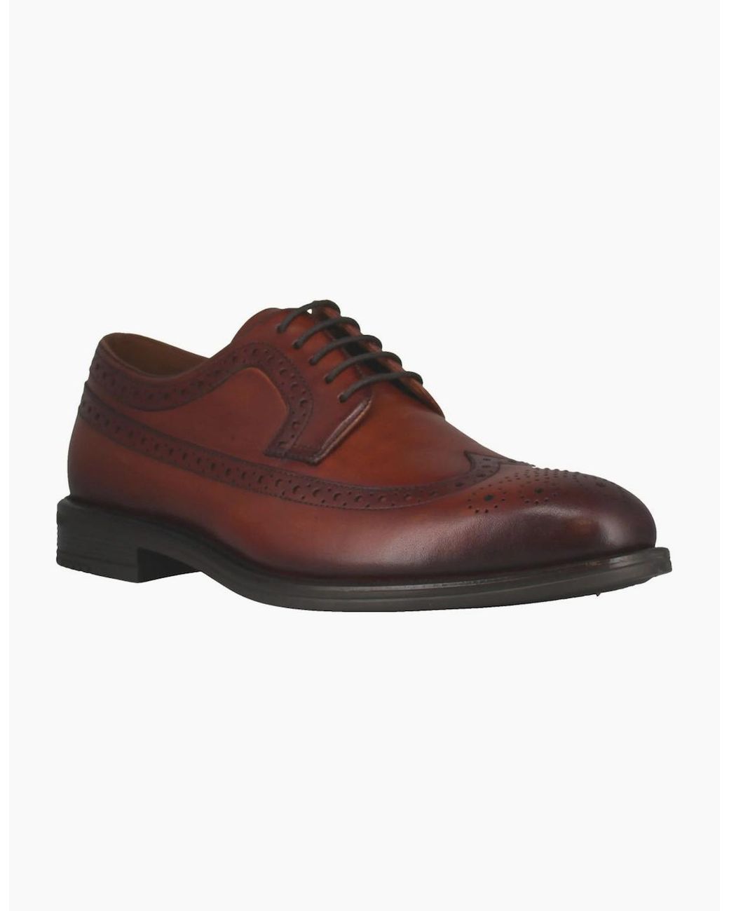 Josef Seibel Brown Cedric 05 Brogues for men