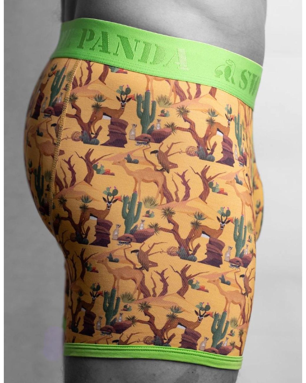 Swole Panda Green Savannah Bamboo Boxer Brief for men