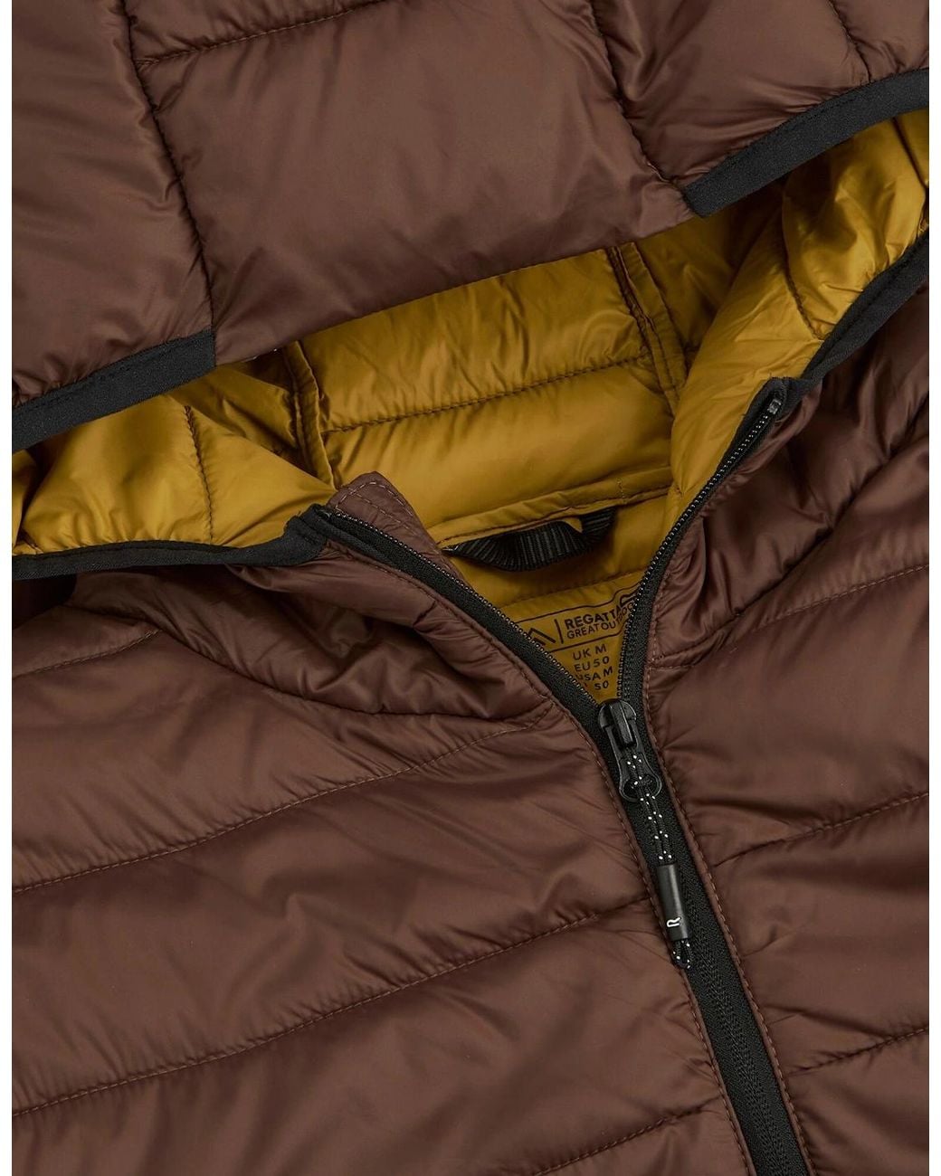 Regatta Brown Marizion Baffled Hooded Padded Jacket for men