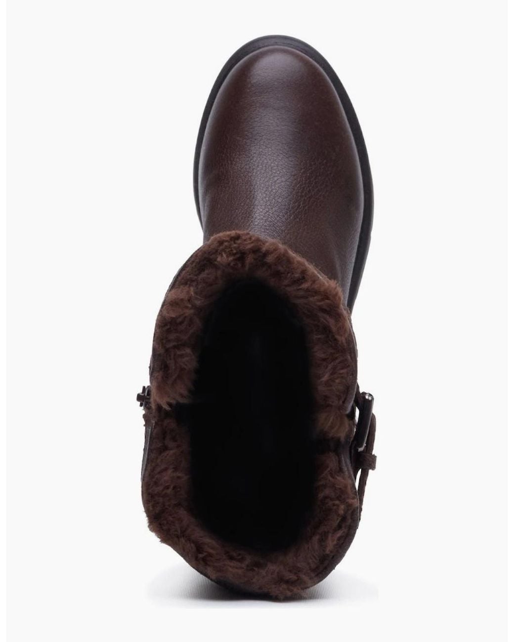 Hush Puppies Brown Cressida Knee High Boots