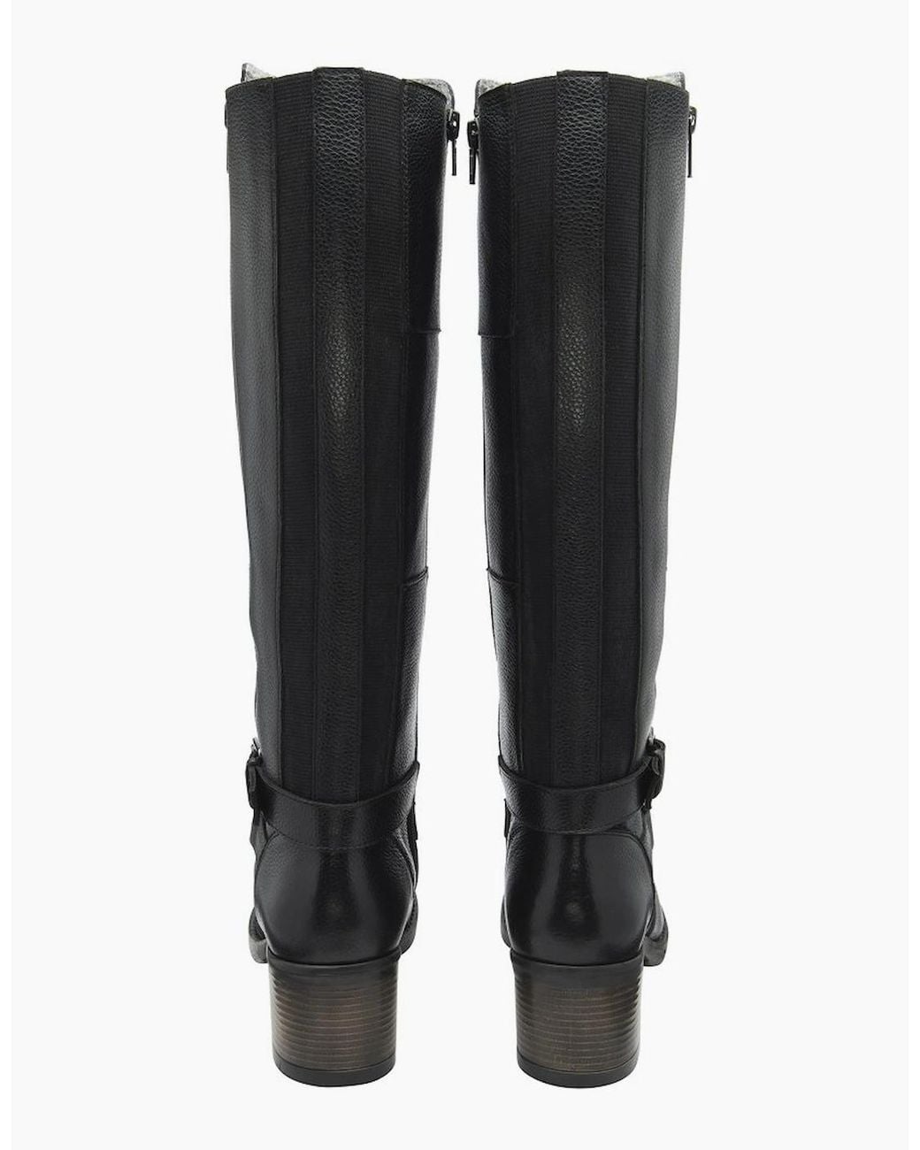 Lotus Black Jive Ii Knee High Boots