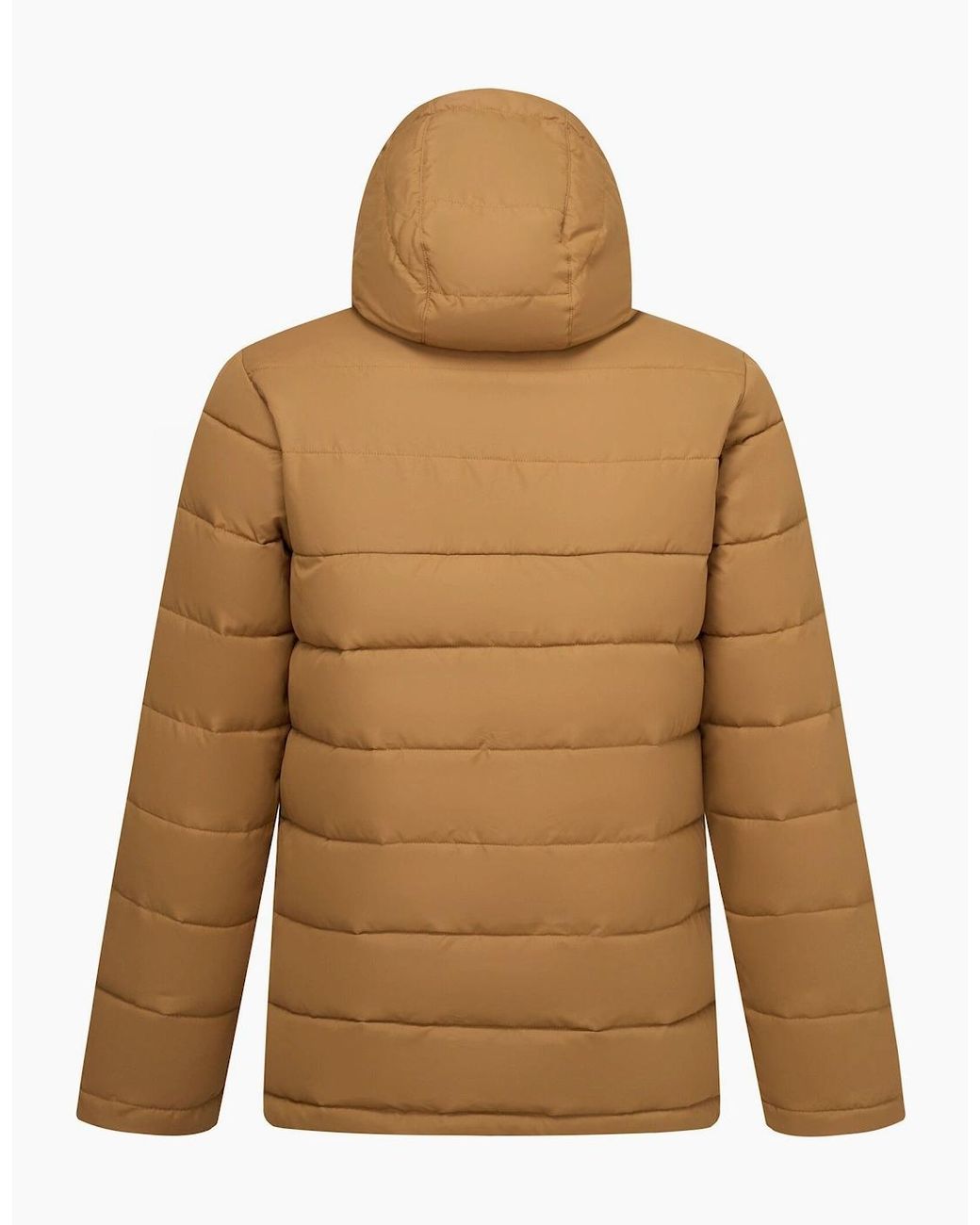 Regatta Brown Frankie Padded Jacket for men