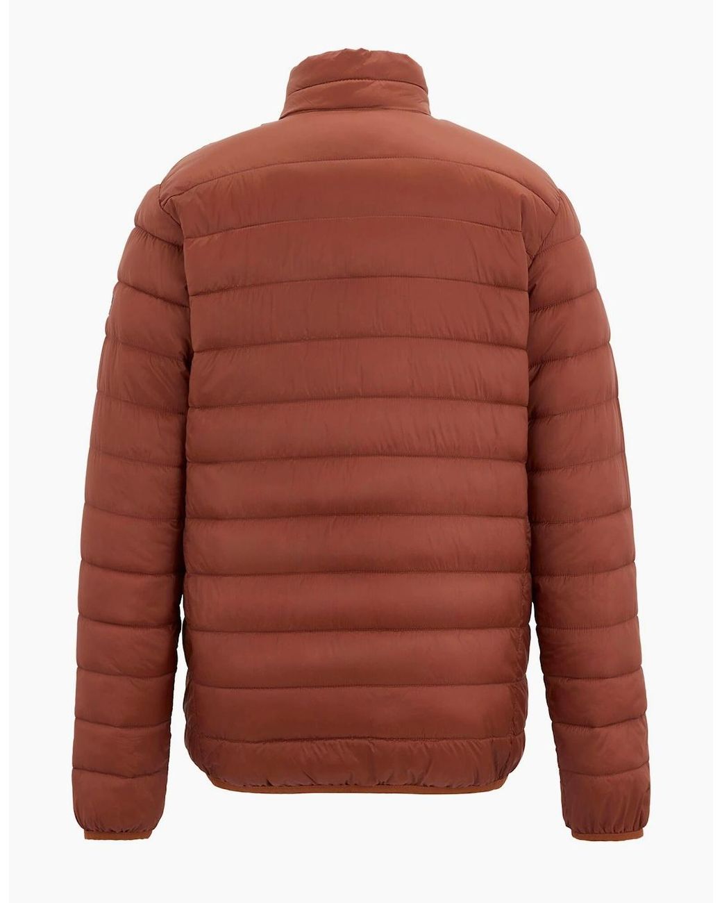 Regatta Brown Marizion Padded Jacket for men