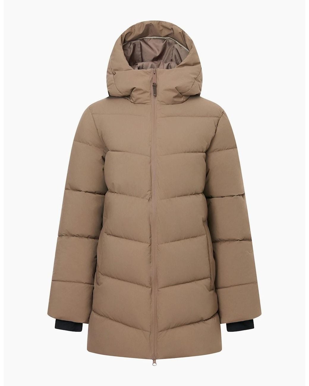 Regatta Natural Ladies Faye Padded Jacket