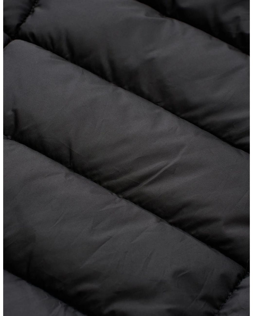 Regatta Black Ladies Asper Padded Jacket