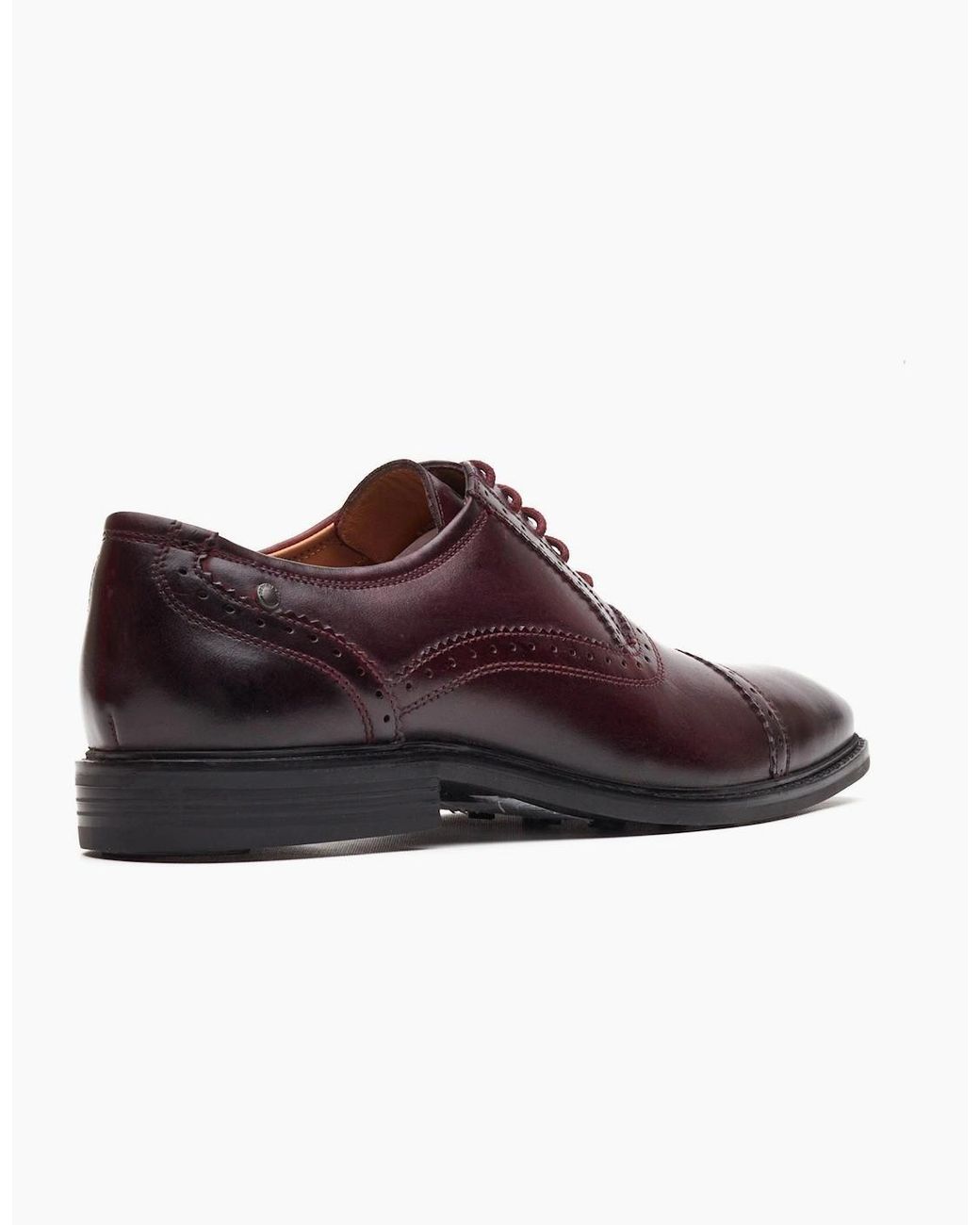 Base London Purple London Ascot Oxford Leather Bordo Oxford Shoes for men