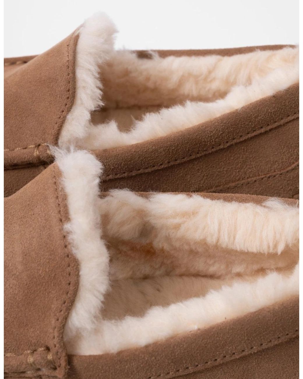 Ugg Brown Ascot Slipper for men