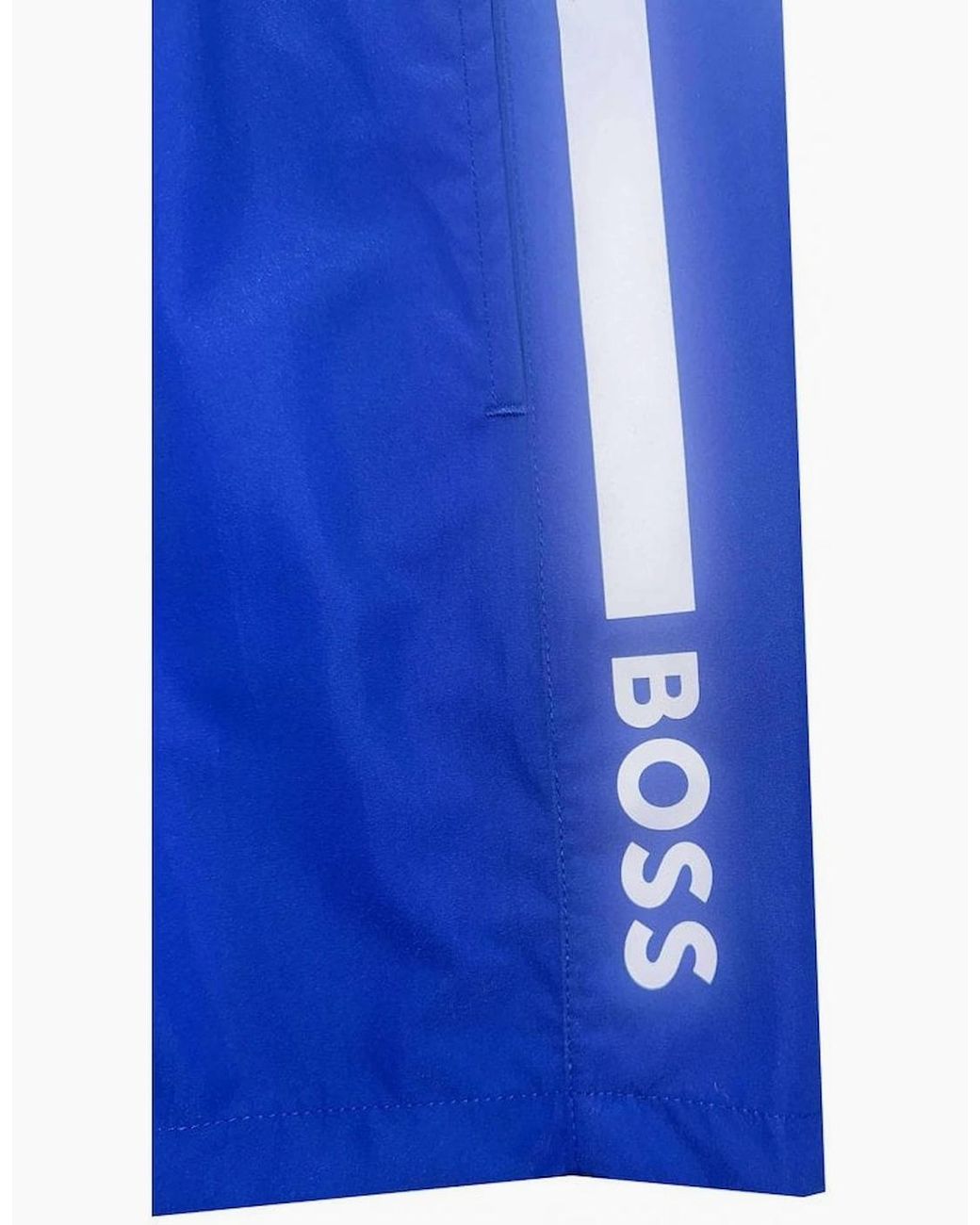 Boss Blue Dolphin Swim Shorts for men