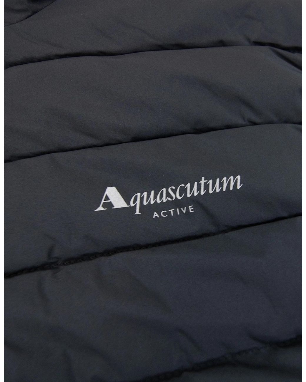 Aquascutum Blue Rlg Active Vest for men