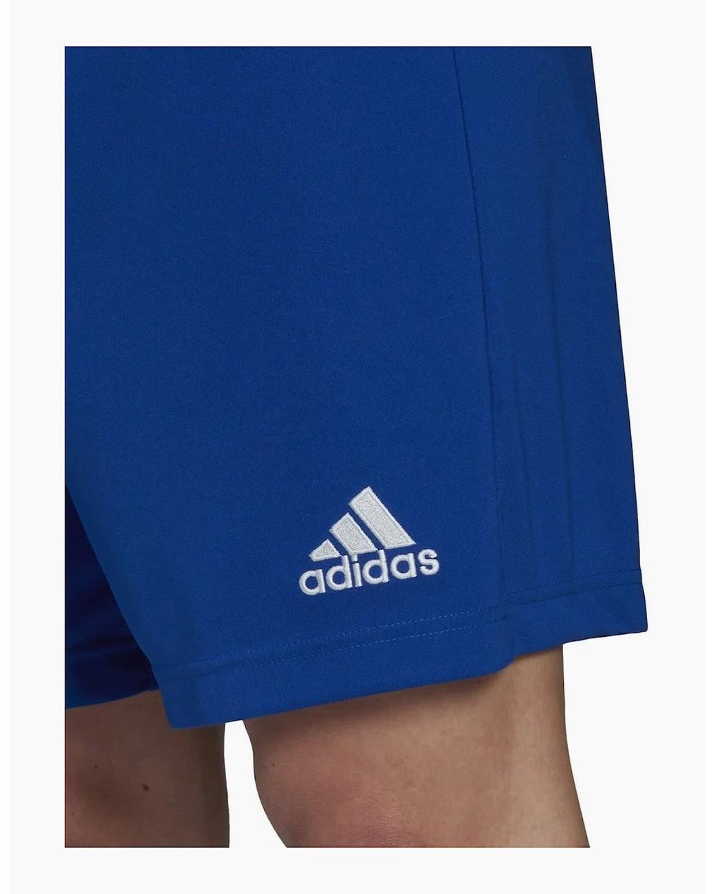Adidas Blue Entrada 22 Shorts for men