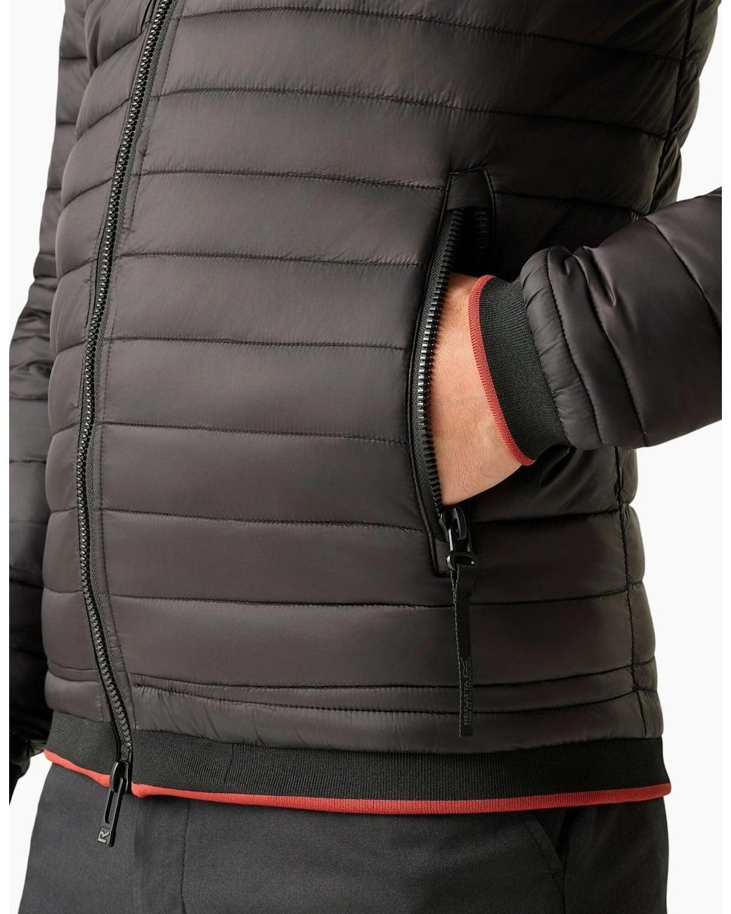 Regatta Gray Haile Padded Jacket for men