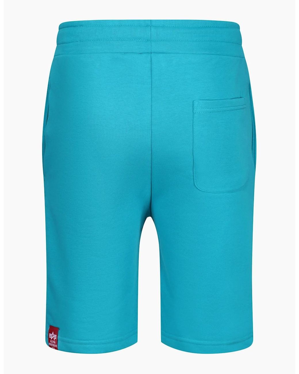 Alpha Industries Blue Basic Print Logo Shorts for men