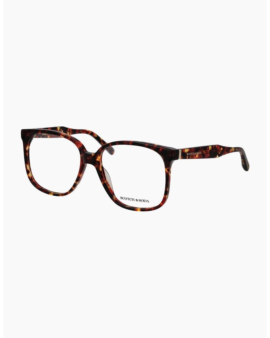 Scotch & Soda Brown Optical Frame Ss3019 142 56