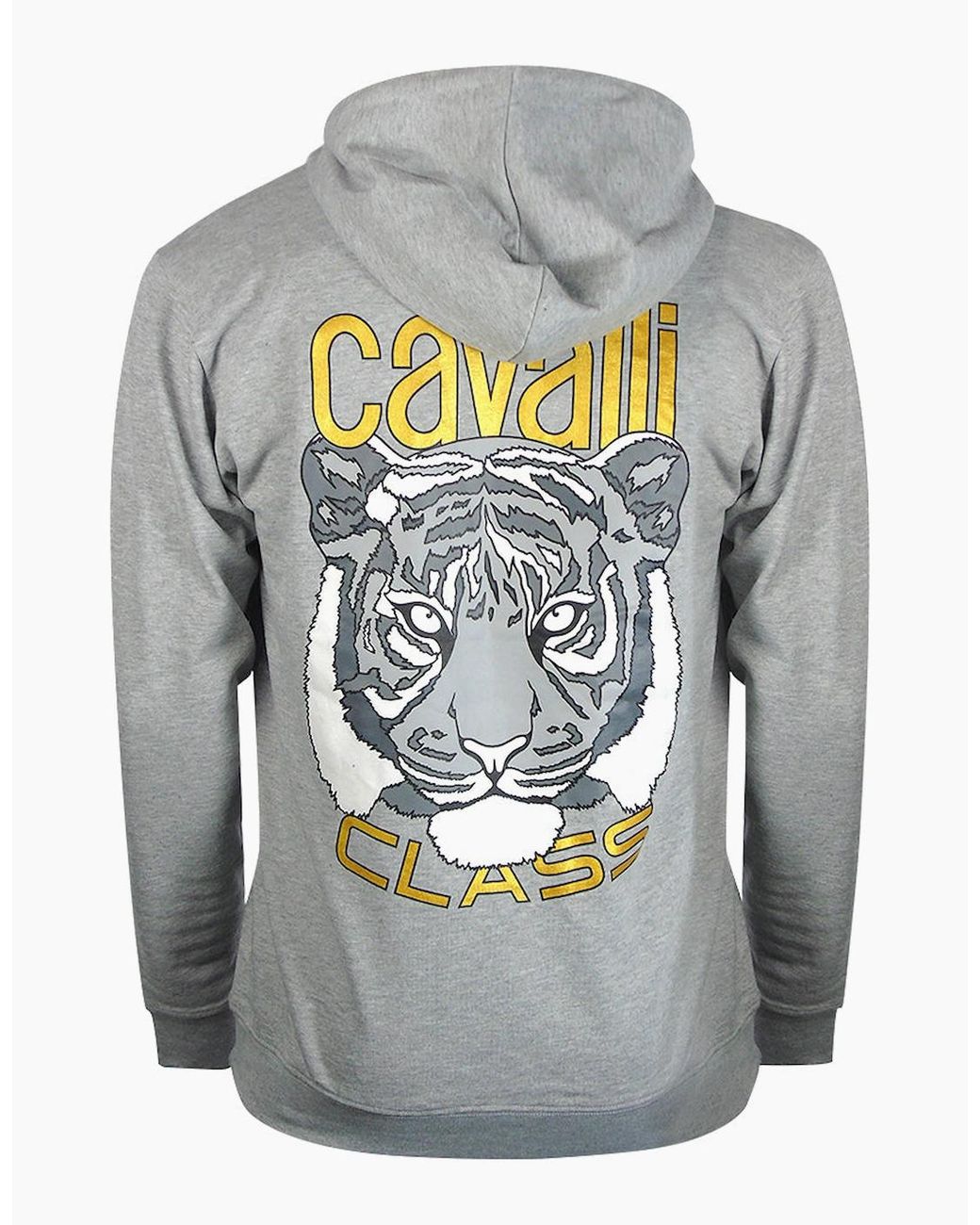 Roberto Cavalli Gray Cavalli Class Bold Tiger Graphic Hoodie for men
