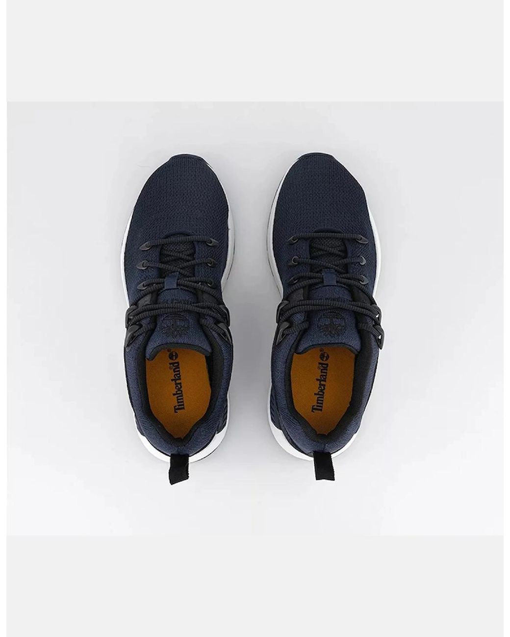 Timberland Blue Sprint Trekker Low Trainers