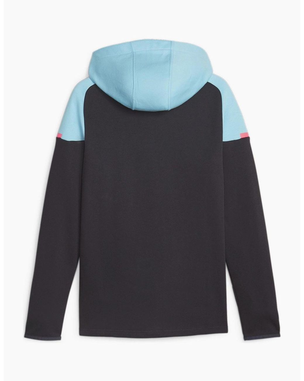 PUMA Blue Casuals Hooded Jkt Hoody for men