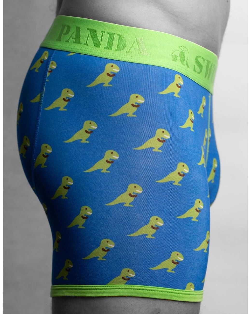 Swole Panda Green T-Rex Bamboo Boxer Brief for men