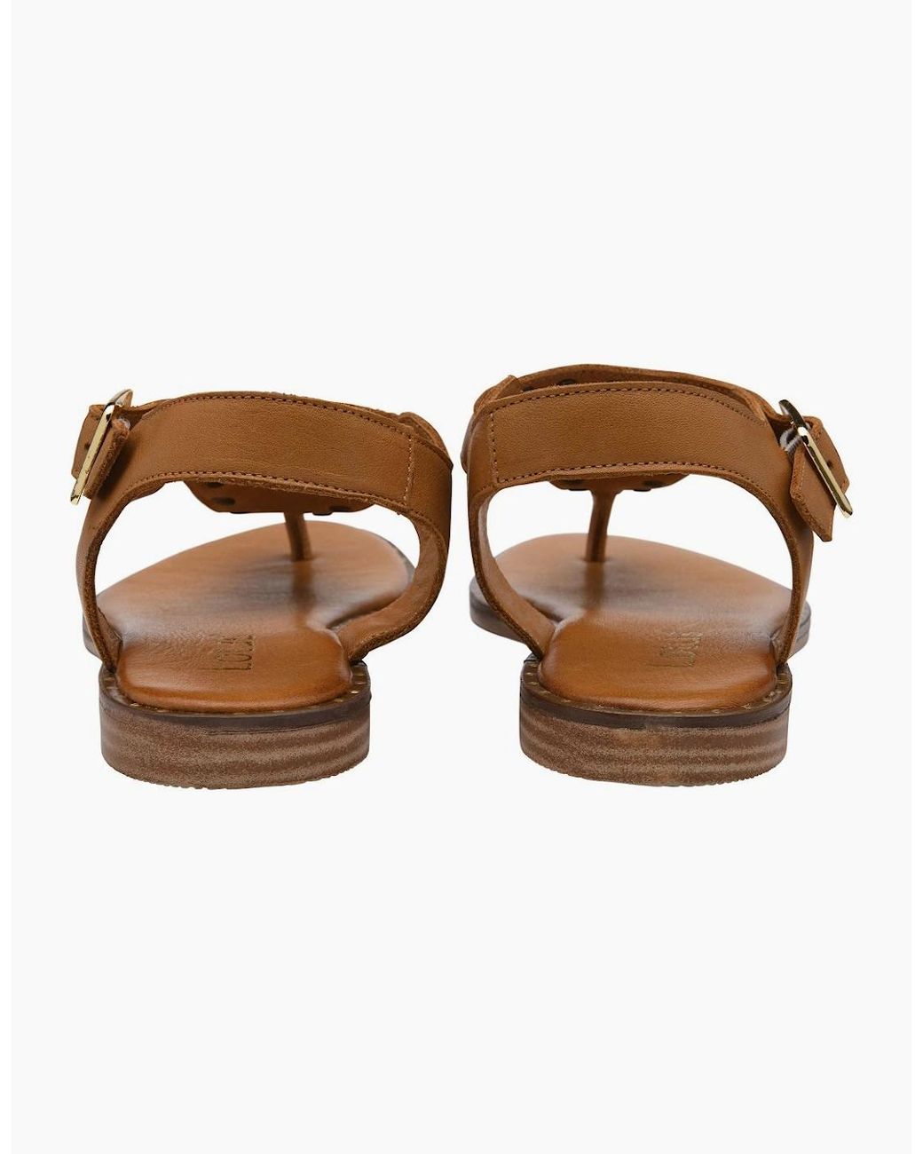 Lotus Brown Juanita Toe Post Sandals